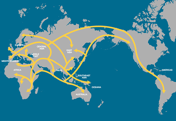 map-of-human-migration
